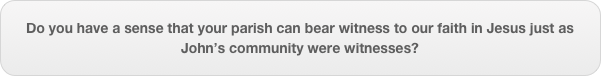 Do you have a sense that your parish can bear witness to our faith in Jesus just as John’s community were witnesses?