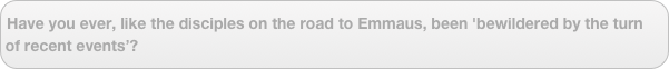 Have you ever, like the disciples on the road to Emmaus, been 'bewildered by the turn of recent events’?